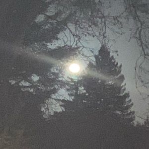 Meet your Posher, Marlene